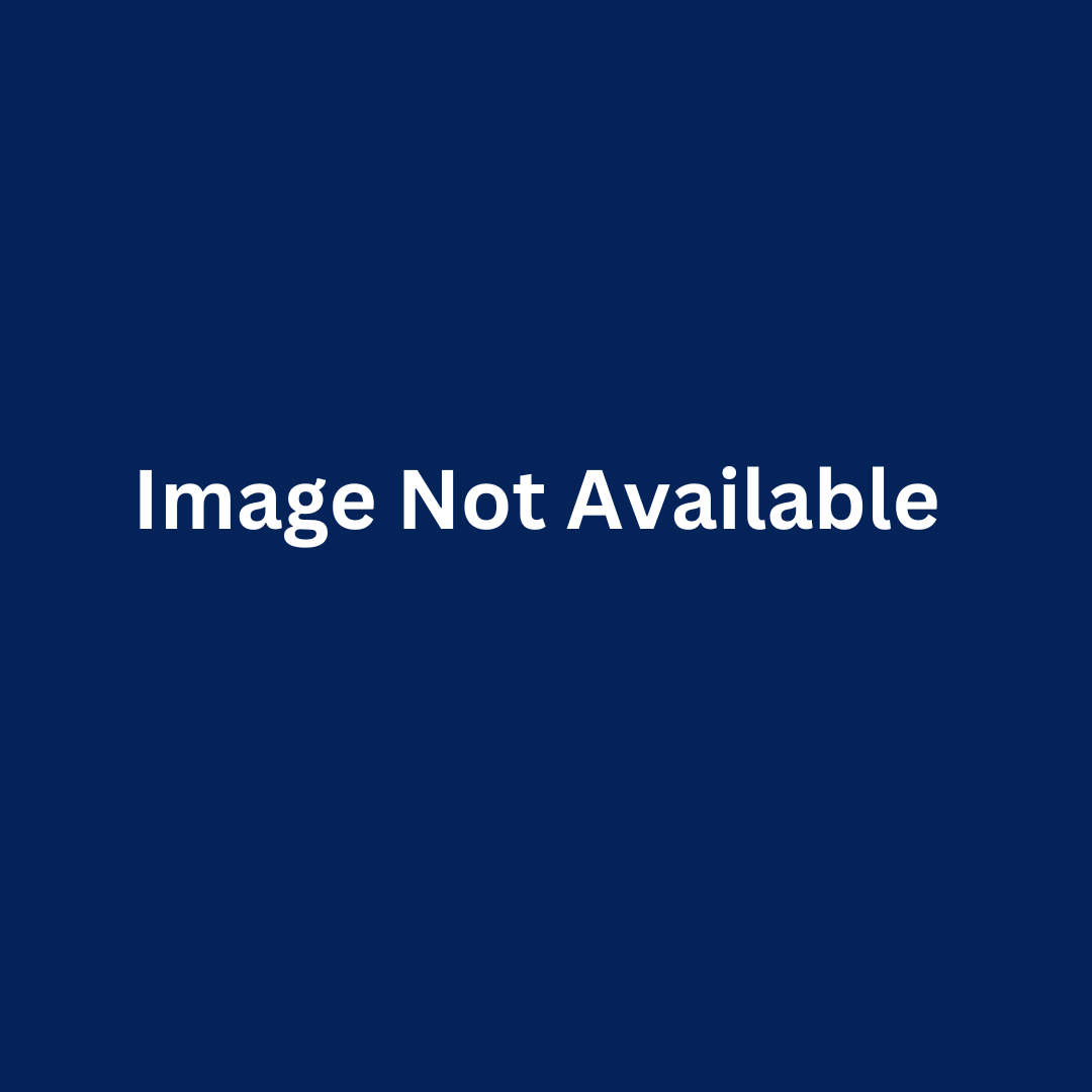 Mot Type 1 Maxi Bag