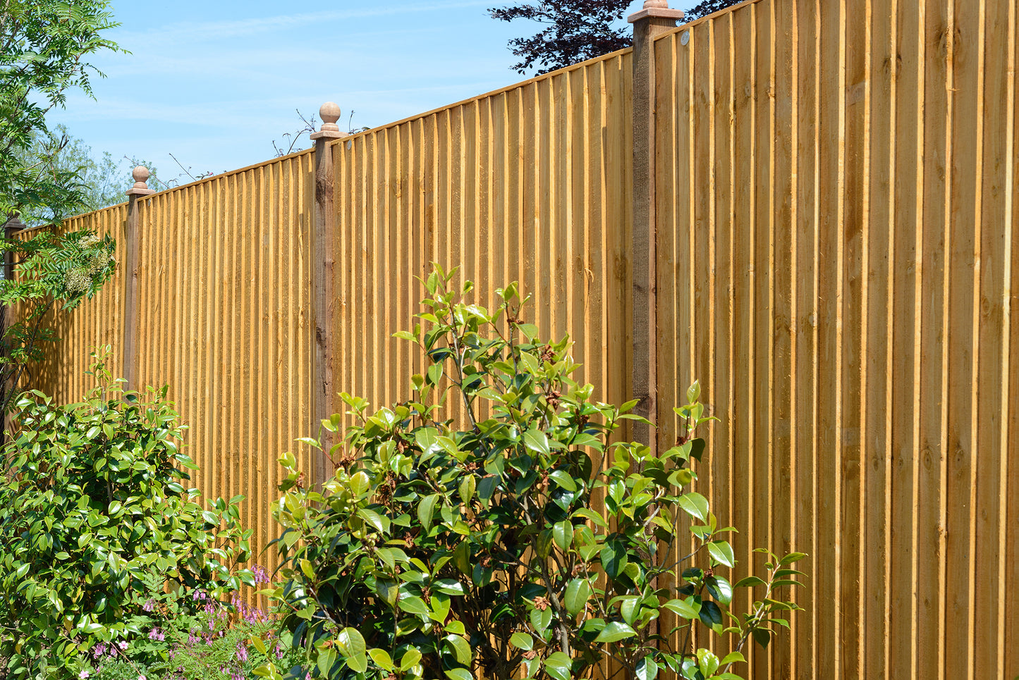 6ft x 5ft Featheredge Fencing Panel