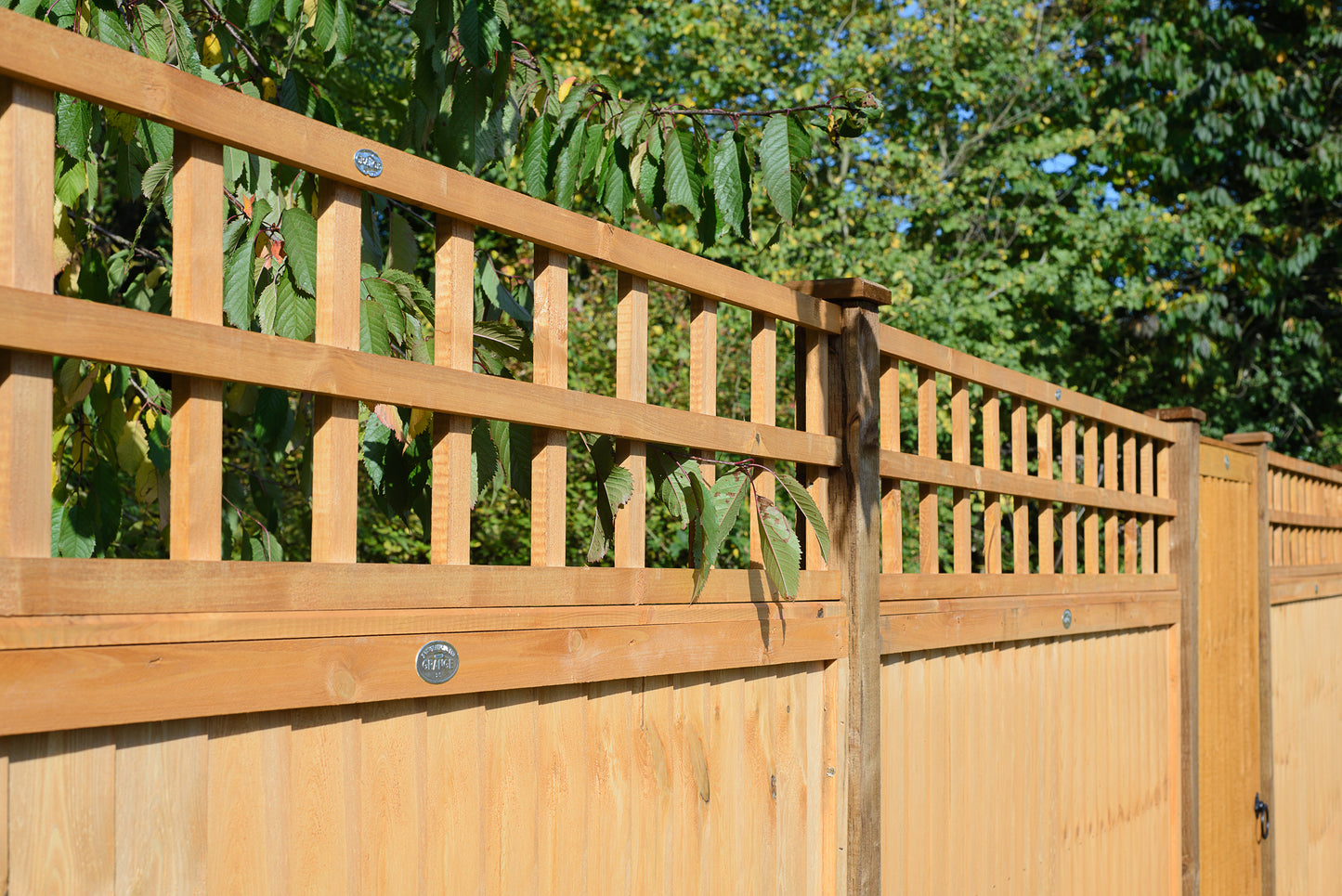 6ft x 1ft Heavy Duty Square Trellis