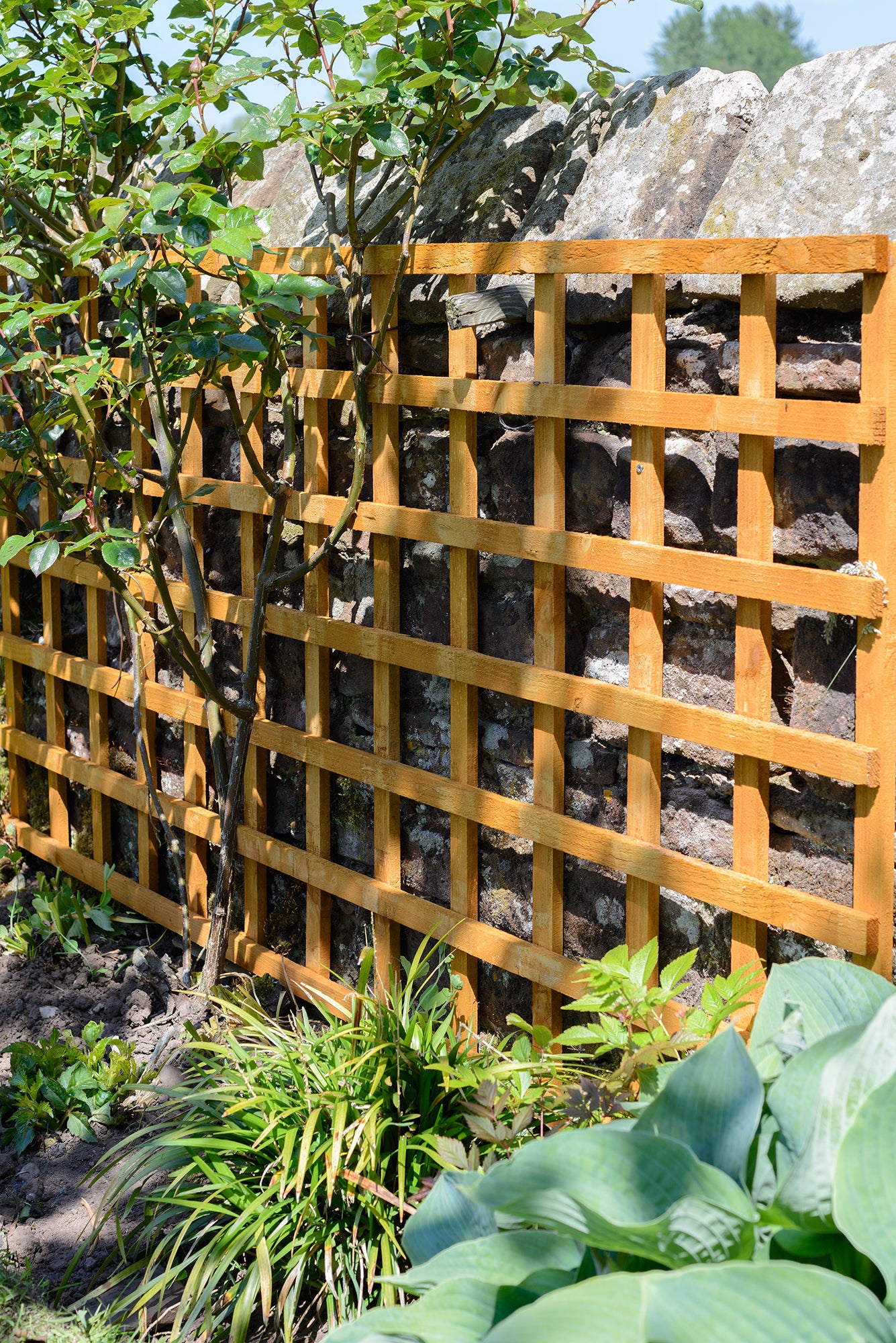 6ft x 3ft Heavy Duty Square Trellis