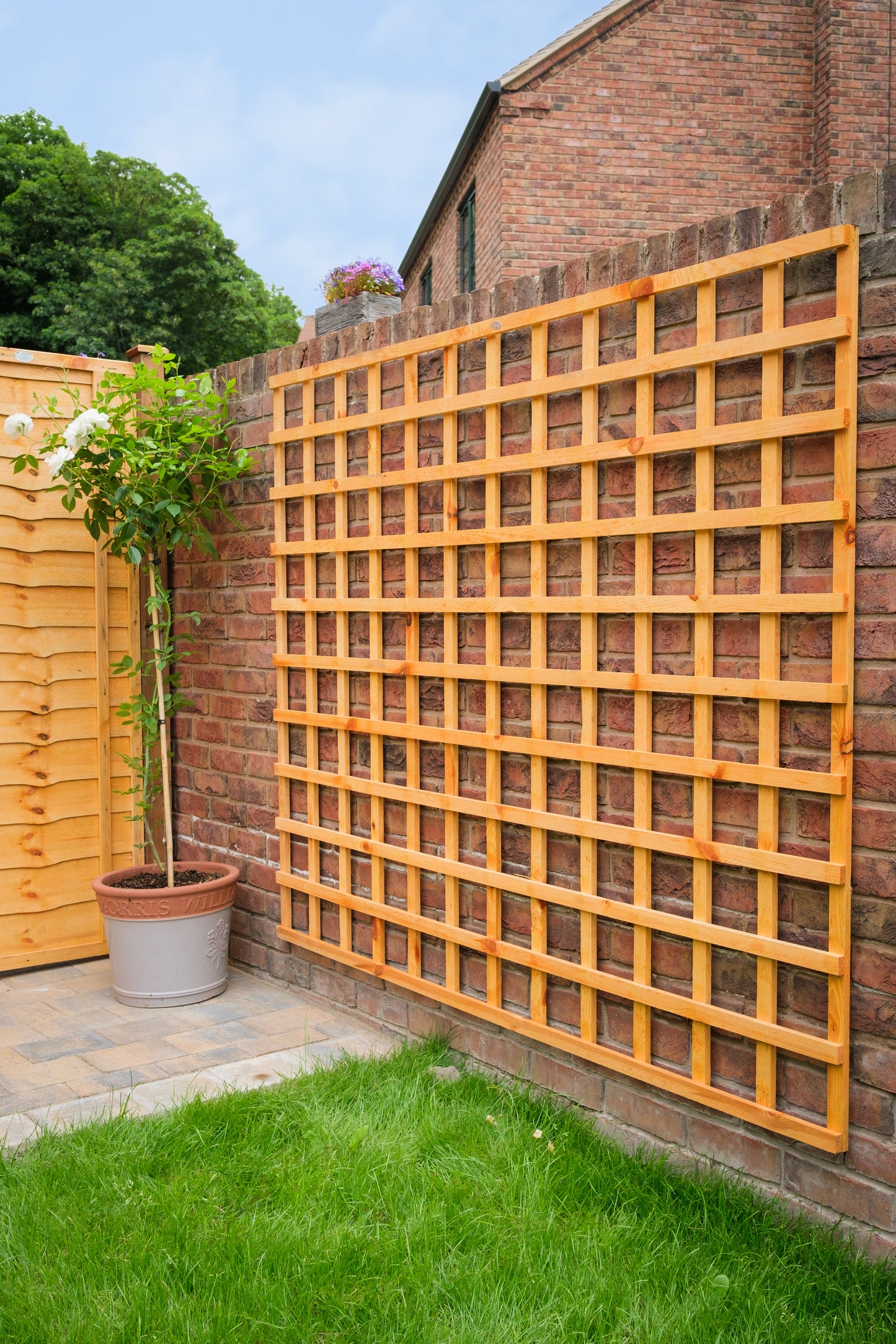 6ft x 6ft Heavy Duty Square Trellis
