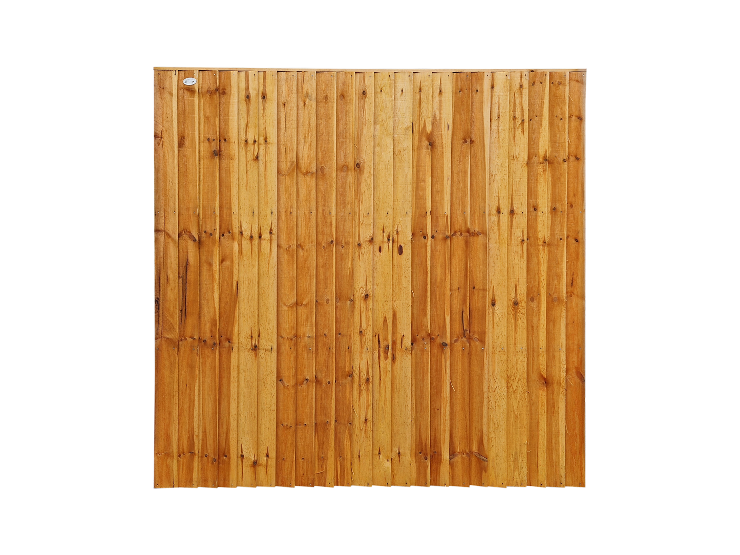 6ft x 5ft Featheredge Fencing Panel